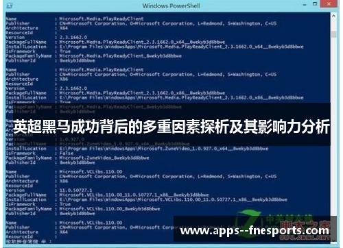 英超黑马成功背后的多重因素探析及其影响力分析