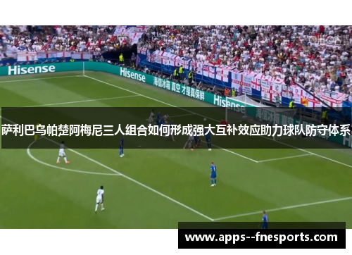 萨利巴乌帕楚阿梅尼三人组合如何形成强大互补效应助力球队防守体系