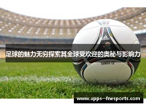 足球的魅力无穷探索其全球受欢迎的奥秘与影响力